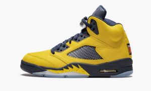 Air Jordan 5 Retro SE “Michigan”