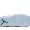 Air Jordan 10 Wings