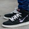 Nike SB Dunk High Oski Shark