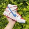 Nike SB Dunk High Ishod Wair x Magnus Walker