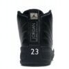 Jordan 12 Retro The Master