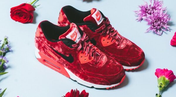 Air Max 90 Anniversary Velvet