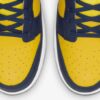 Nike Dunk Low Michigan (2021)