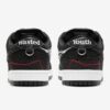 Nike SB Dunk Low x Wasted Youth (Special Box)